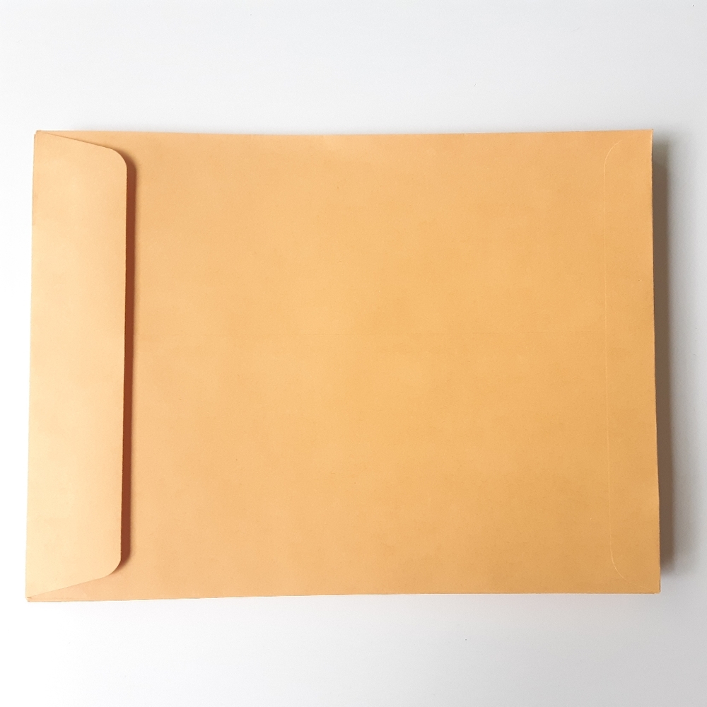 50 9" x 12" Kraft Paper Envelopes: Blank Envelopes for Mailing/Storage